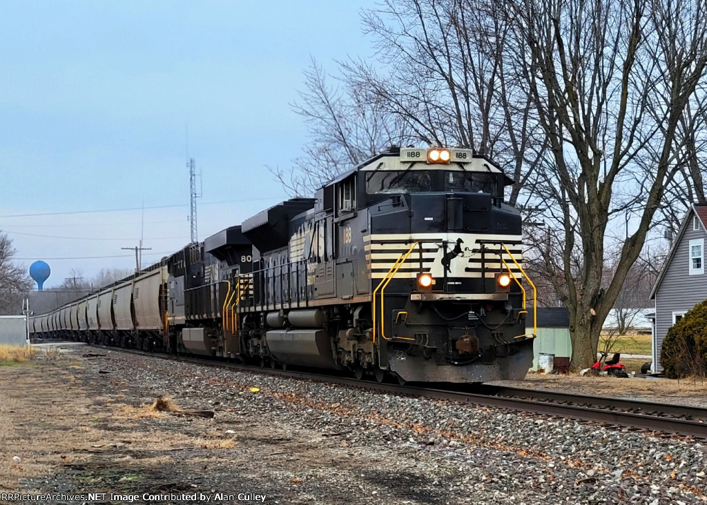 NS 1181-50Z